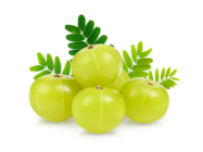 Gooseberry/Amla/Nellikka (India)